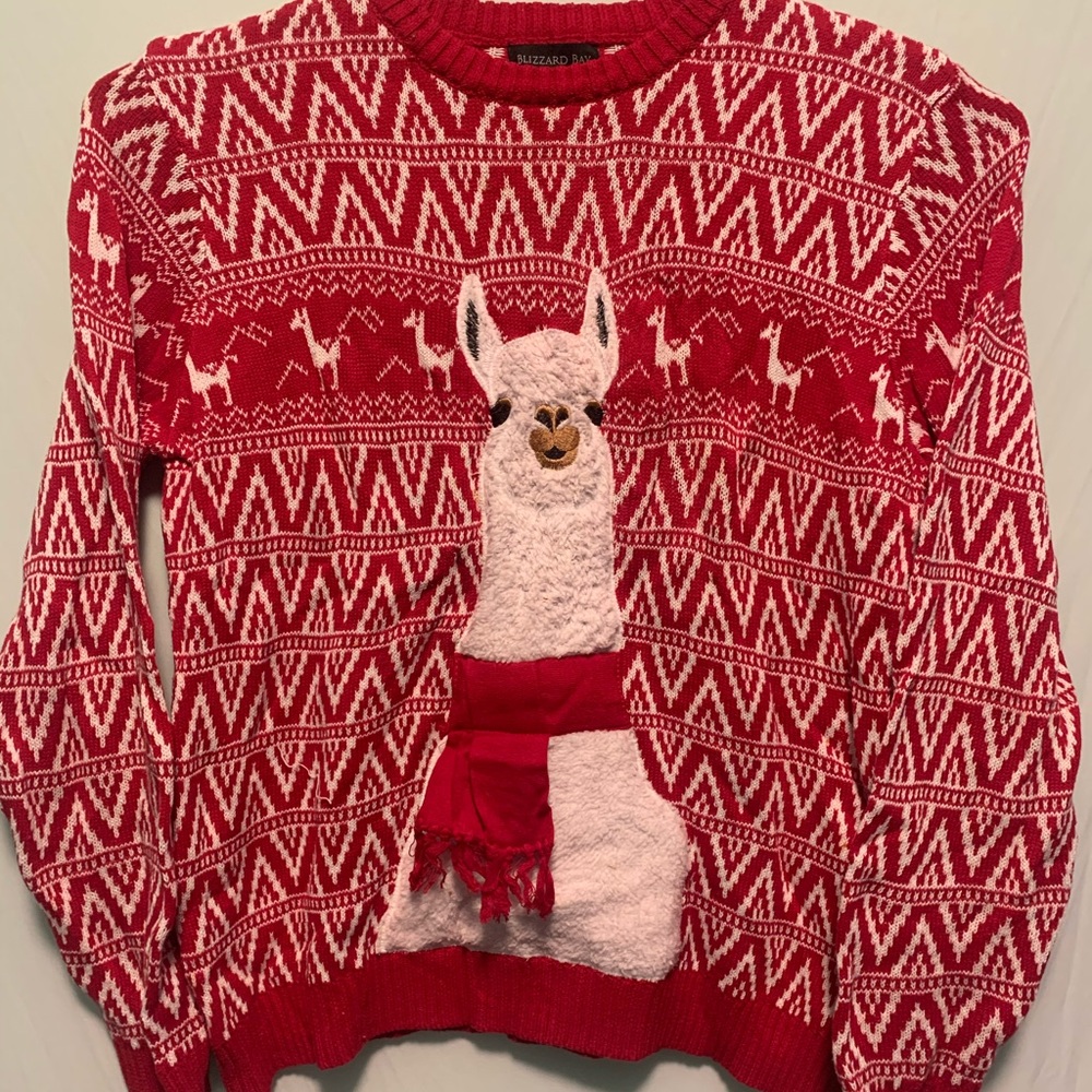 Ugly Christmas Sweater